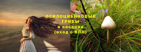 гашик Алексеевка