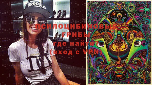 кокс Алексин