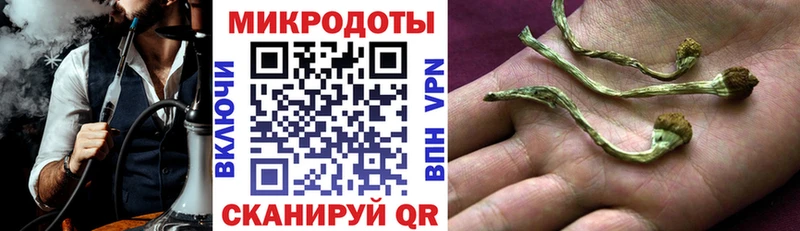 Псилоцибиновые грибы Psilocybe  как найти закладки  МЕГА зеркало  Краснотурьинск 